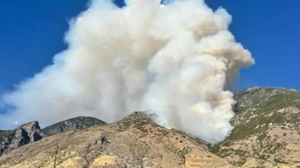Buckley Draw Fire in Provo